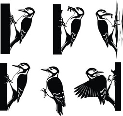 Woodpecker silhouette illustration, perched on tree, pecking bark, holding insect, flying pose, black vector bird design for wildlife concept