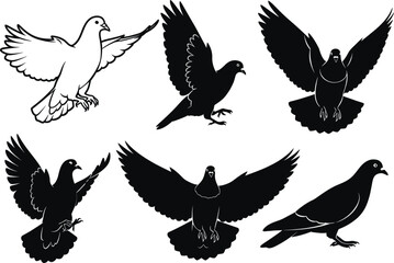 Pigeon silhouette set, black and white bird poses, flying and standing motion, wing spread vector, isolated illustration design