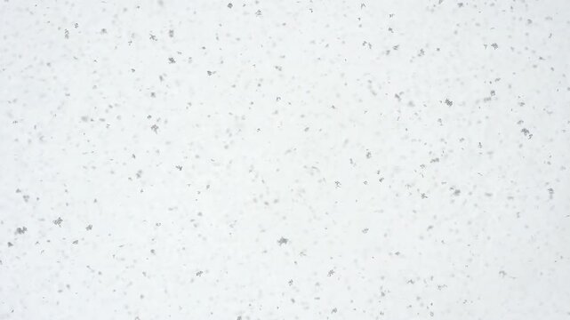 Soaring Snow Flakes in the Air. Large flakes of snow slowly falling down. Slow Motion