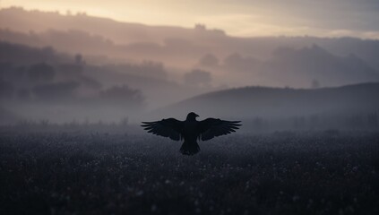 Gliding solitary black bird stretching wings over misty meadow, with wildflowers and grasses