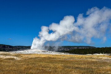 Old Faithful Geyser Yellowstone National Park