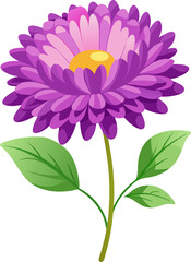 single Aster flowers vector art icon white background 