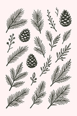 Hand-Drawn Pine Branches and Cones Vector Set | Winter Nature Line Illustrations