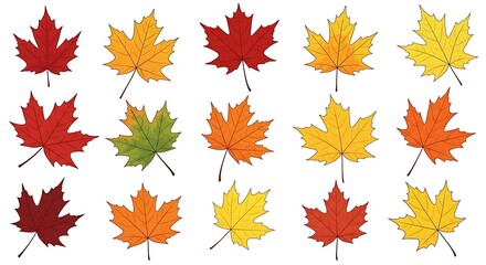 Fototapeta premium Autumn Maple Leaves - A Colorful Collection of Fall Foliage.
