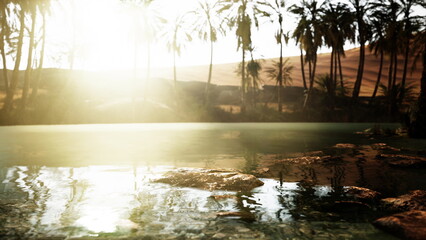 Morning light bathes a tranquil oasis, where clear water reflects surrounding palm trees and rocky edges. The peaceful scene captures the beauty of nature in a desert environment.