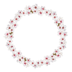 Almond flowers. Hand-drawn round frame. Watercolor on a transparent background with space for text. Stylish nature background. Perfect for design templates, wrapping, print, invitations and textile.