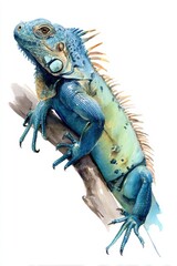 Obraz premium Iguana Watercolor. Hand-drawn Painting of Exotic Lizard in Tropical Style