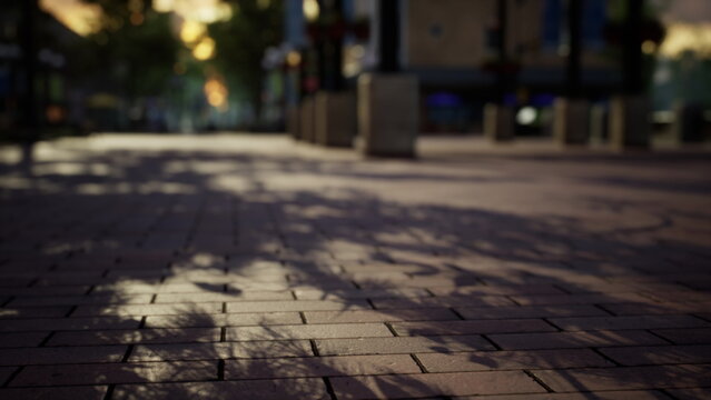 Warm sunlight casts long shadows through the trees onto the cobblestone path in a serene urban setting during late afternoon, inviting peaceful strolls and reflection.