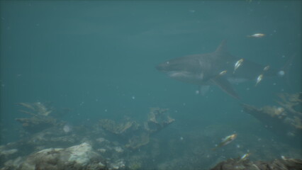 Fototapeta premium In clear blue waters, a sleek shark glides effortlessly among colorful fish and vibrant coral formations. Sunlight filters through the surface, creating a serene underwater scene.