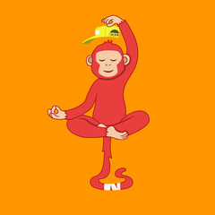 meditating monkey 