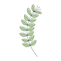A fresh green leaf branch with delicate small pink flower buds drawn in a simple style.