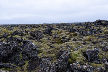 Fantasy Landscapes - Fields of Rock in Iceland