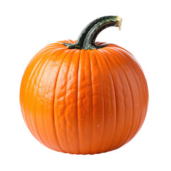 Obraz premium Vibrant orange pumpkin with curved green stem isolated