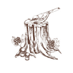 Wild nature monochrome vector clipart with forest bird sitting on stump, blueberries and mushroom ink graphics illustration. Hand drawn botanical engraved painting, wildlife silhouette for eco design