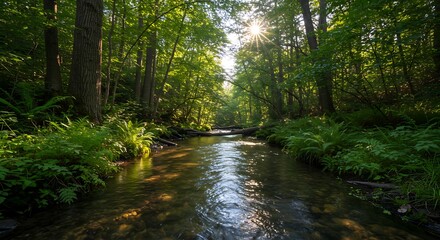 Obraz premium Sunlight filtering through lush green forest canopy onto a clear forest stream.