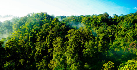 beautiful view of tropical rainforest hills, West Java, Indonesia