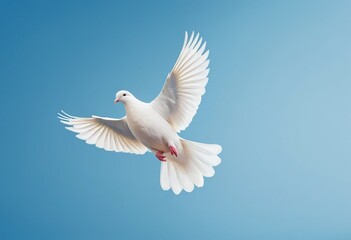 Fototapeta premium White dove in flight with outstretched wings against a serene blue sky, embodying concepts of peace and freedom