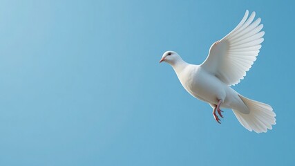 Fototapeta premium White dove flying gracefully across a clear blue sky, symbolizing peace and freedom with ample copy space