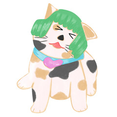 happy cat and its green wig 