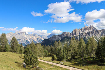 Mountain road in the alps