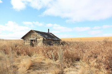 Fototapeta premium Touring around the abandoned farms in the Valley.