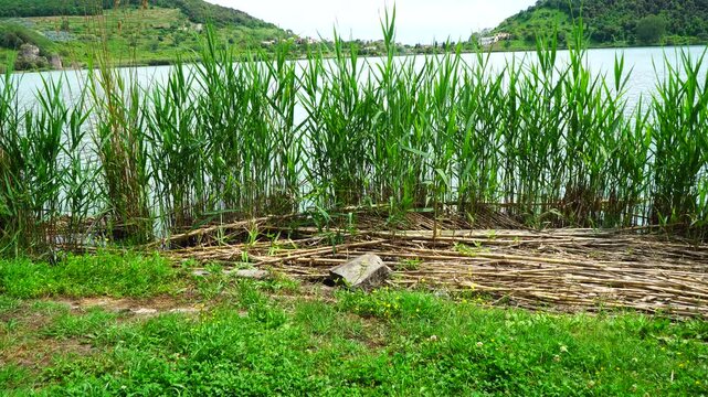 Italy, Pozzuoli - Lake Averno