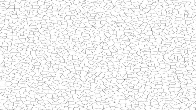 Geometric pattern background animation in line art style with seamless looping on a horizontal white screen