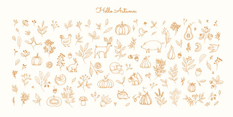 Autumn collection of cute pumpkins and botanical elements, farm and forest animals, fall leaves from different trees. Cozy seasonal design elements