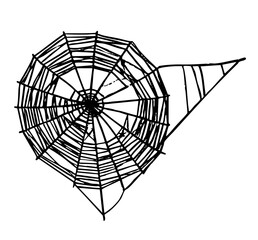 Obraz premium Spiderweb hangs intricately in a dark corner