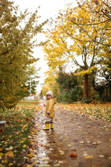 Fototapeta premium Little child wearing yellow raincoat and hat walking through fallen autumn leaves on path outdoors. Cozy fall atmosphere, family walk, childhood exploration and seasonal concept.