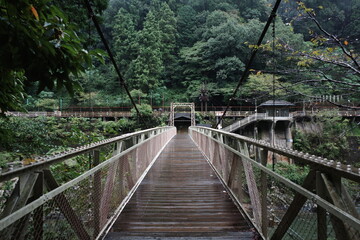 Obraz premium Old pedestrian suspension bridge leading into forest in rural Japan