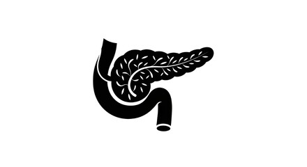 Human Pancreas Black Silhouette Anatomy Icon &mdash; Minimal Medical Organ Symbol 