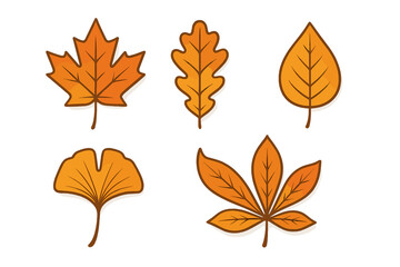 Fototapeta premium Set of various autumn tree leaves including maple, oak, and ginkgo in warm seasonal colors