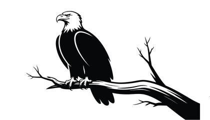 A striking black and white silhouette of a bald eagle perched on a bare tree branch