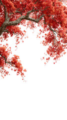 Vibrant Red Leaves on Tree Branch with Clear Background for Nature Lovers