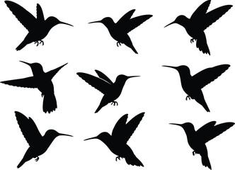Hummingbird silhouette set, black flying bird vector, hovering poses, wildlife illustration, dynamic wing motion, nature design on white background