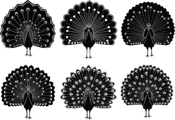 Stylized peacock silhouette set, black and white vector birds, ornate tail feathers, elegant wildlife design, artistic nature illustration collection