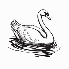 Graceful Swan Swimming in Calm Lake Vector Design on white background