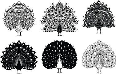 Peacock silhouette set, black and white vector birds, ornate feather design, elegant tail display, artistic wildlife illustration collection
