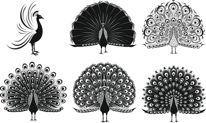 Stylized peacock illustrations, black and white vector art, elegant tail feathers, frontal view, decorative design, nature bird silhouette set