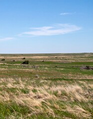 Obraz premium Vast open prairie field showing endless natural landscape and horizon