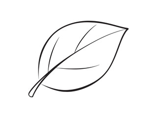 Eco Friendly Leaf Flat Vector Illustration