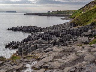 shore and basalt rock formation on the seashore in iceland