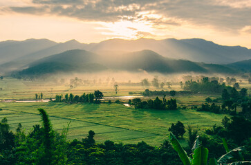 Beautiful view of morning light hitting fog, mountains, trees and green rice fields in the countryside in Chiang Rai. Northern Thailand.