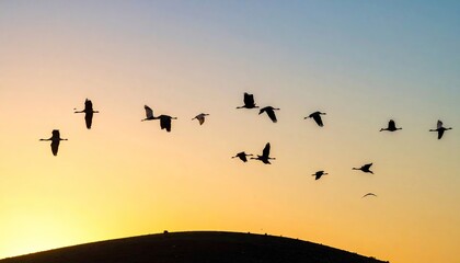 Silhouetted Flock Of Birds Flying Against A Gradient Sky At Sunset Landscape With Birds In Flight Above Ground And Yellow To Blue Sky Background