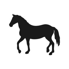 Standing horse silhouette isolated on white background. Farm animal silhouette. Vector illustration