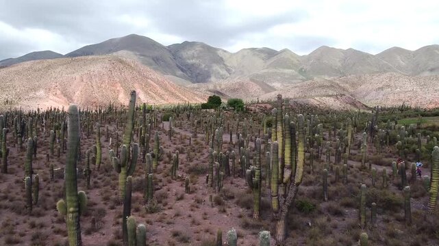 vista a&eacute;rea de rancho en un valle de cactus sobre las monta&ntilde;as &aacute;ridas del desierto al atardecer con nubes reflejadas
