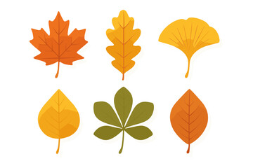 Stylized collection of autumn and green tree leaves isolated on white background