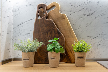 Stylish kitchen decor with fresh culinary herbs in pots (rosemary, basil, oregano) and wooden...