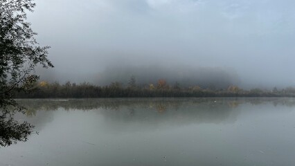 morning mist on the lake